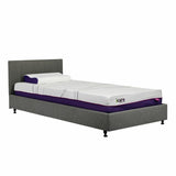 iCare Companion Bed